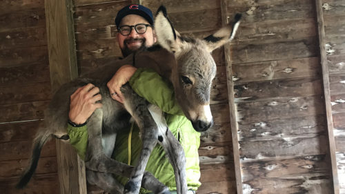 Joseph Rose holds donkey newborn